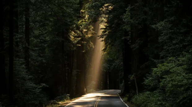 Road