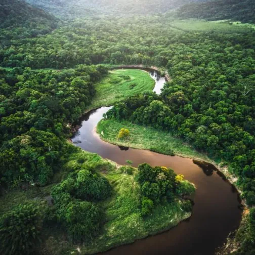 Climate and resillience