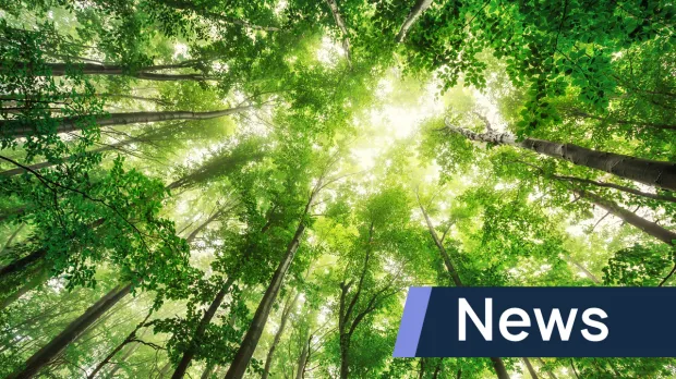 Green news banner