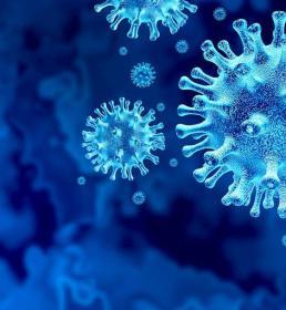The novel coronavirus in close up