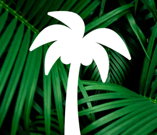 Palm