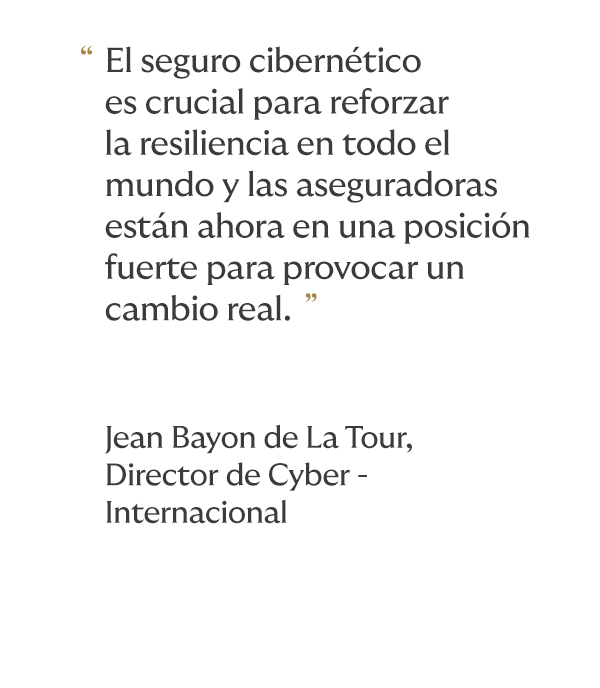 img informe1