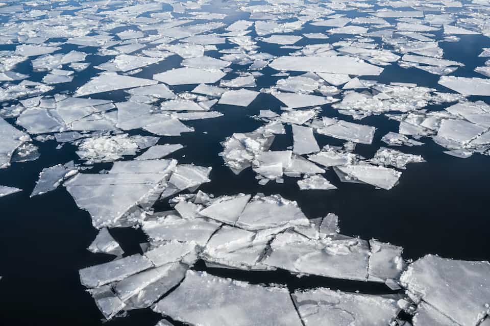 Aerial view of ice floes floating in the water