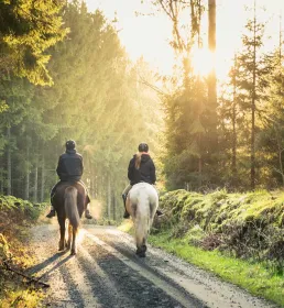 Two ponies on a trek through the countryside