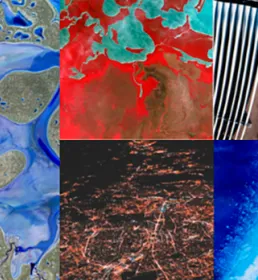 img blog laboratorio resiliencia