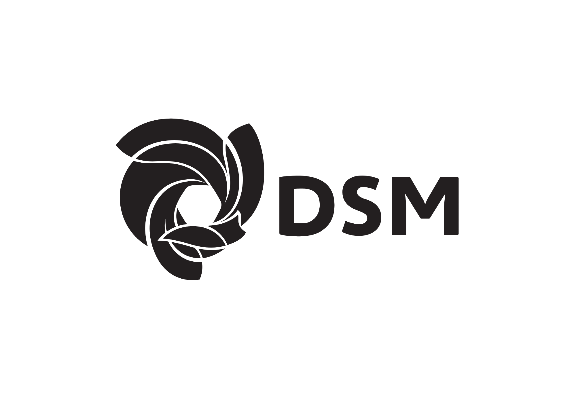 logo DSM