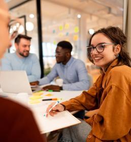 Duurzame Inzetbaarheid