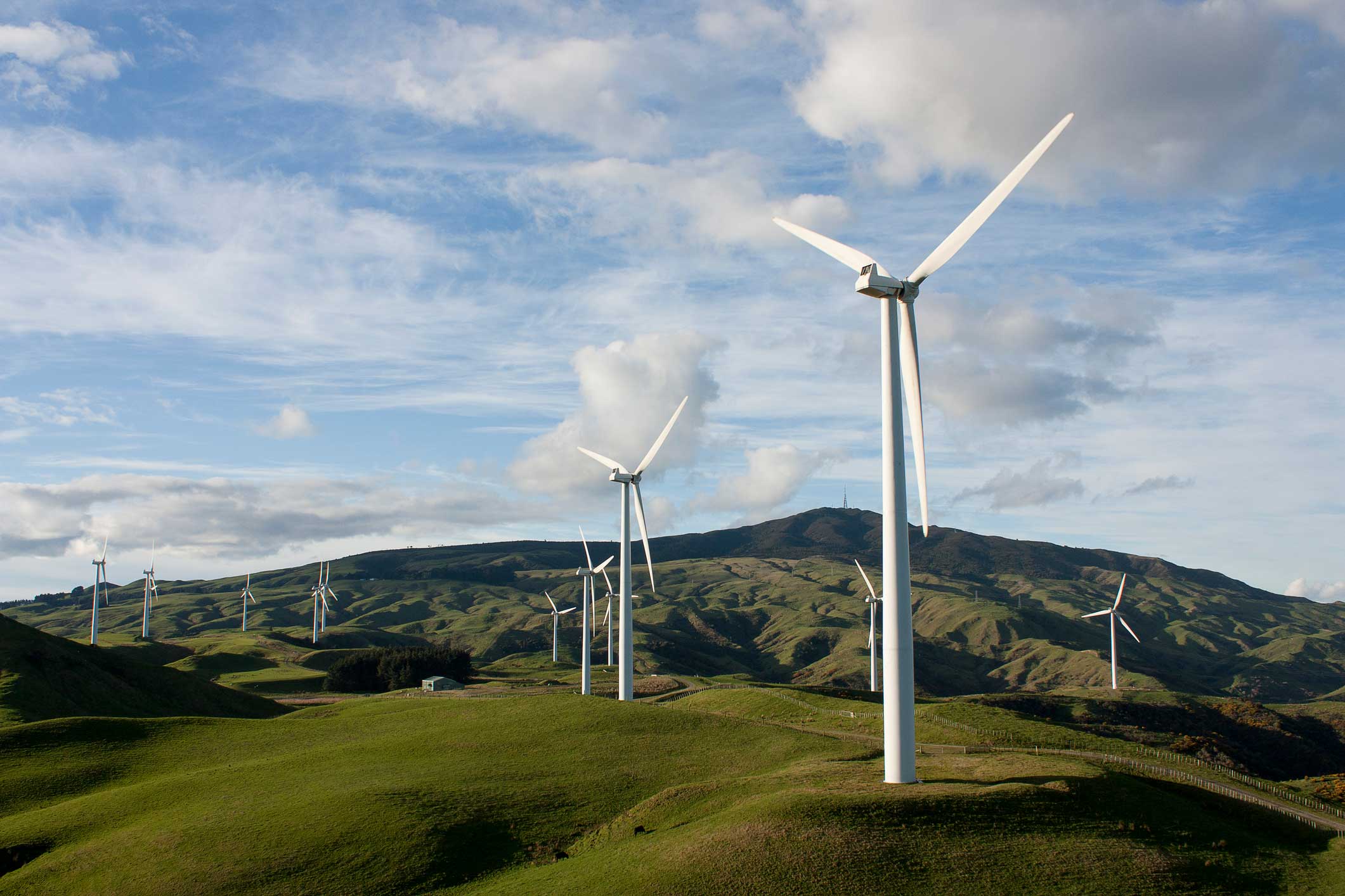 wind turbines new zealand