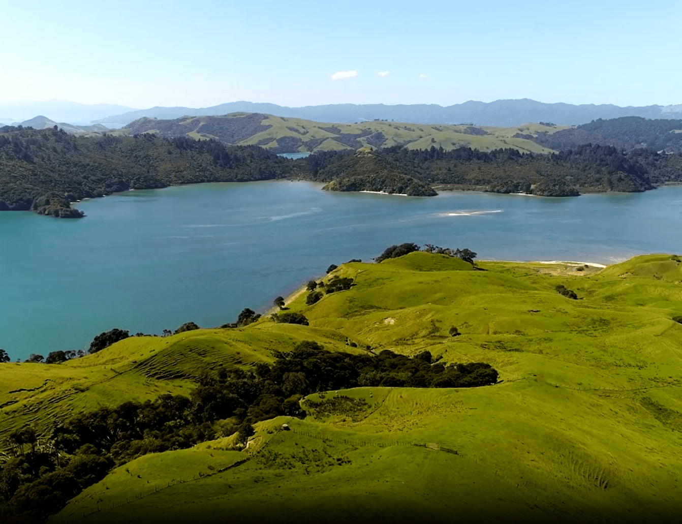 nz_cover