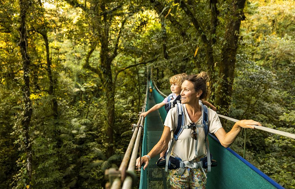 A woman and child walk on a suspension bridge exploring a lush forest