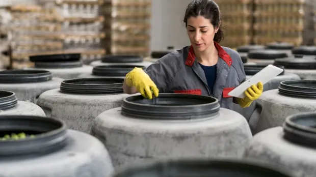 Woman assessing the quality of olives 