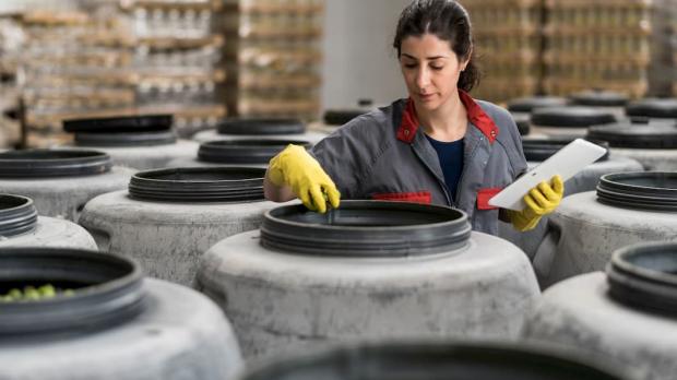 Woman assessing the quality of olives 