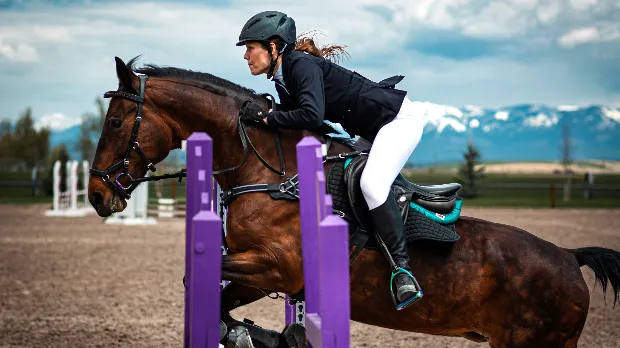 equine-division