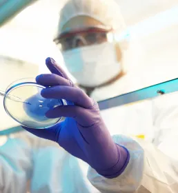 Medical researcher observing petri dish 