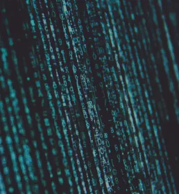 Cyber