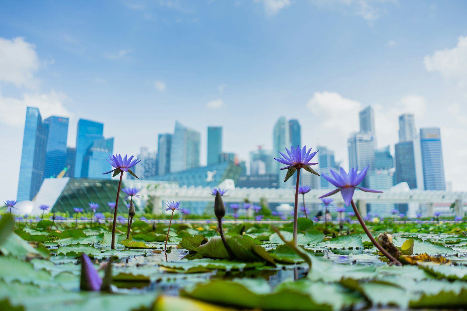 A view of Marina Bay Sands, Singapore