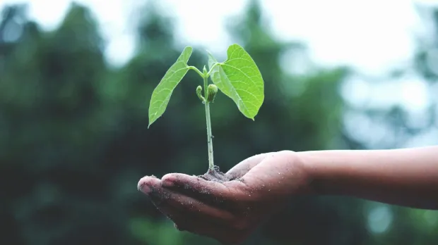 Growth - Climate