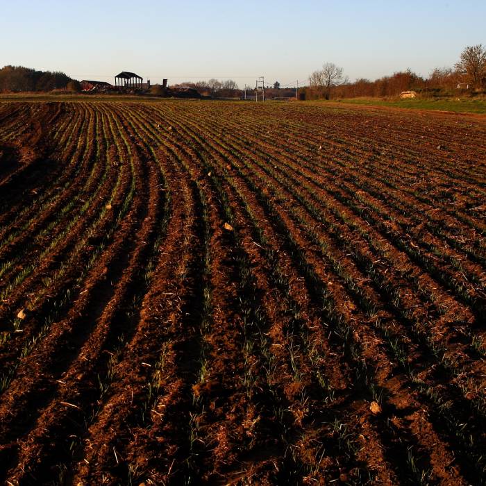 agroalimentario