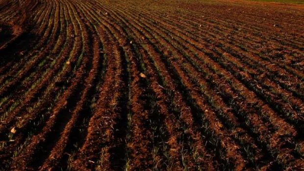 agroalimentario