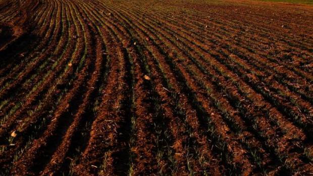 agroalimentario