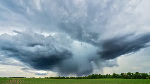 clouds-grass