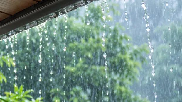 Rainfall
