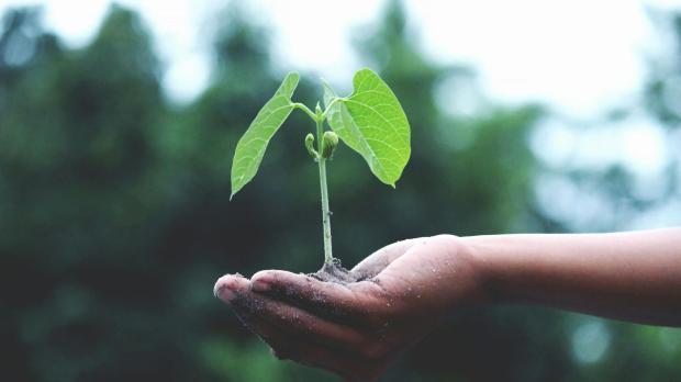 Growth - Climate