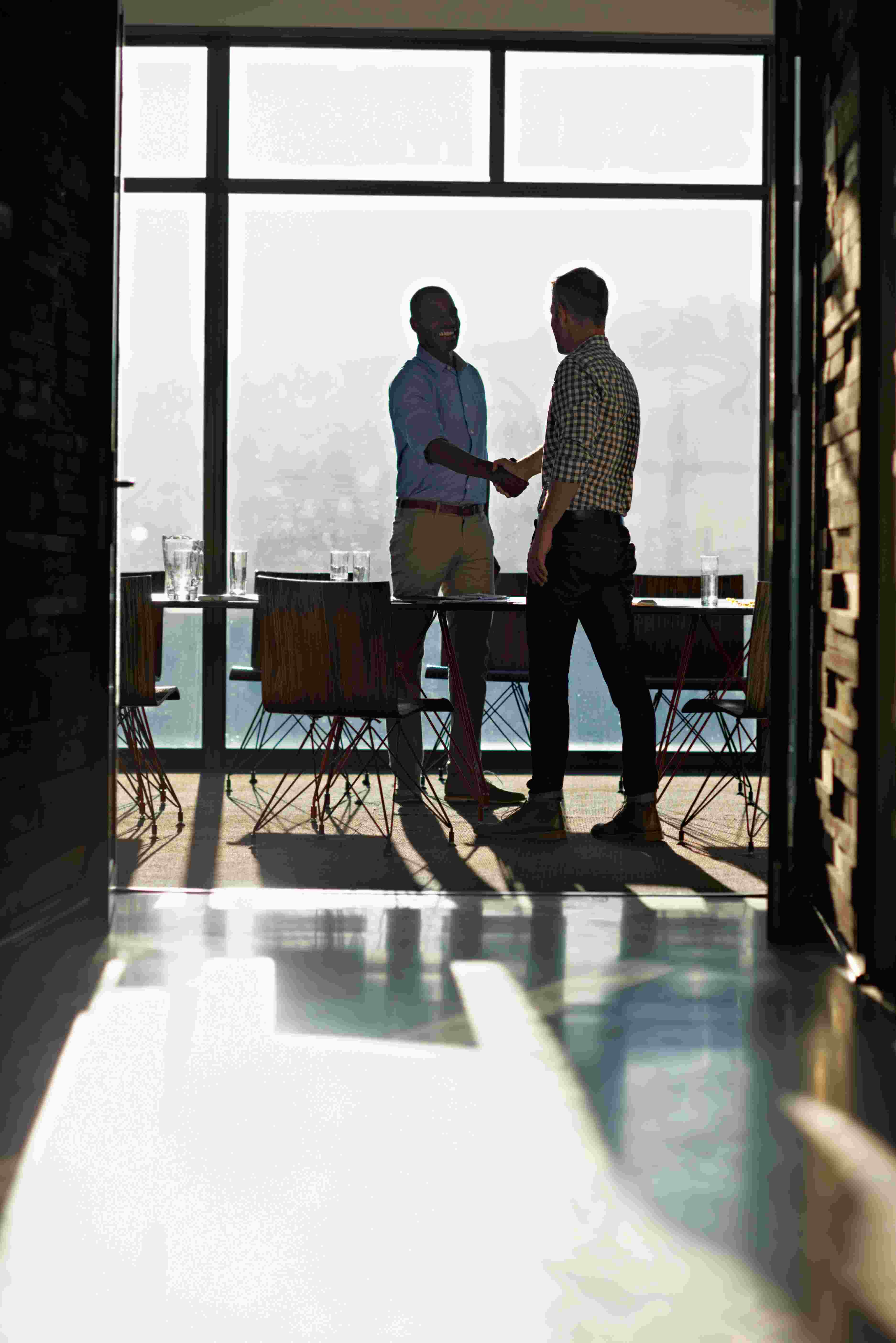 two businessman shaking hands in the office