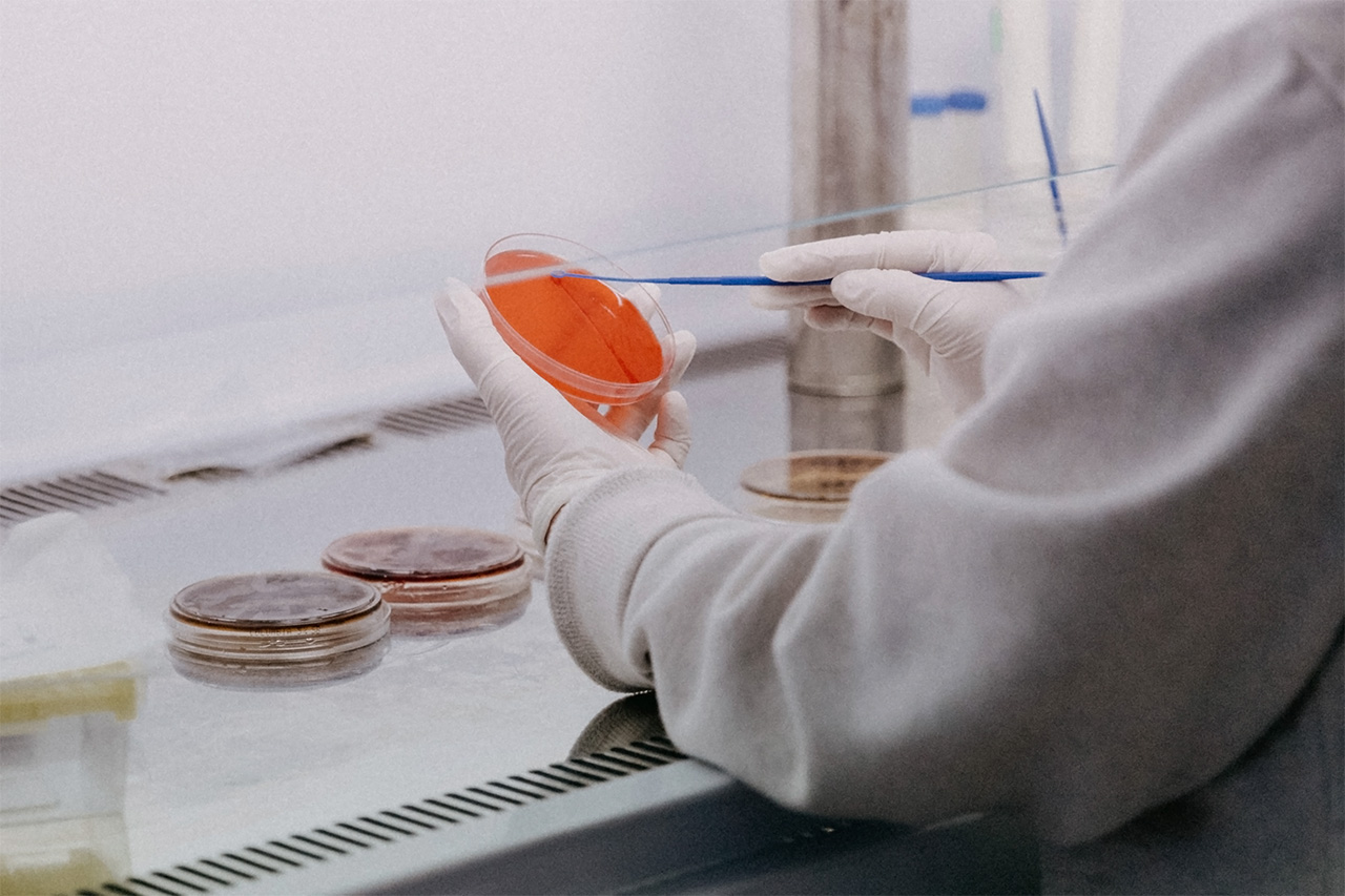 Lab worker with petri dish
