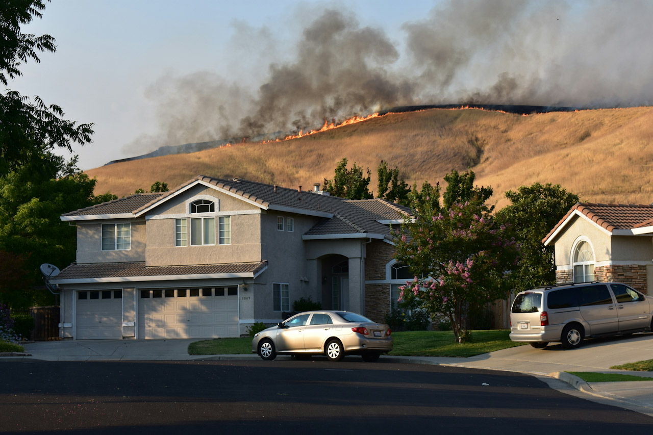 Wild fire