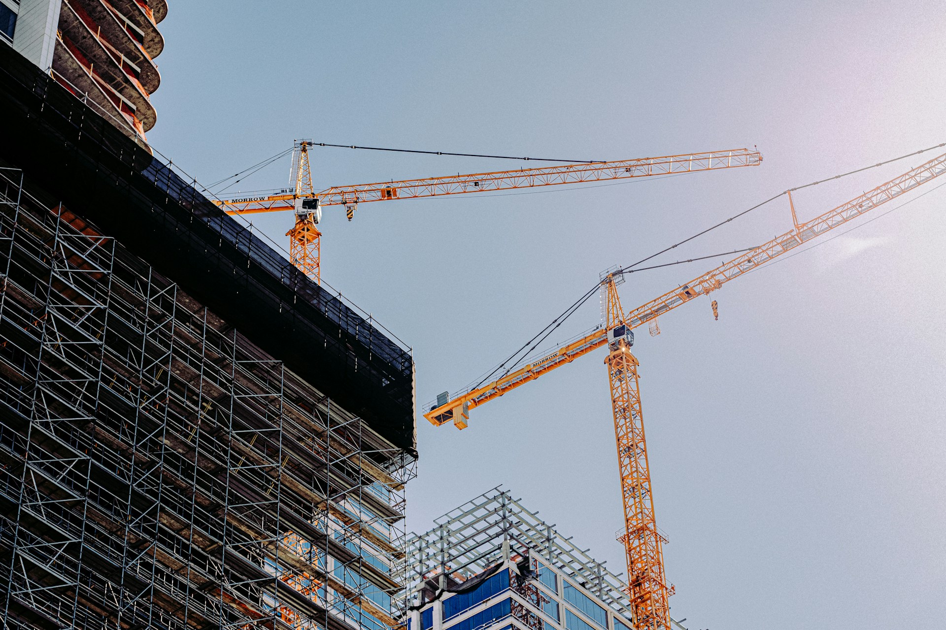 Cranes in LA