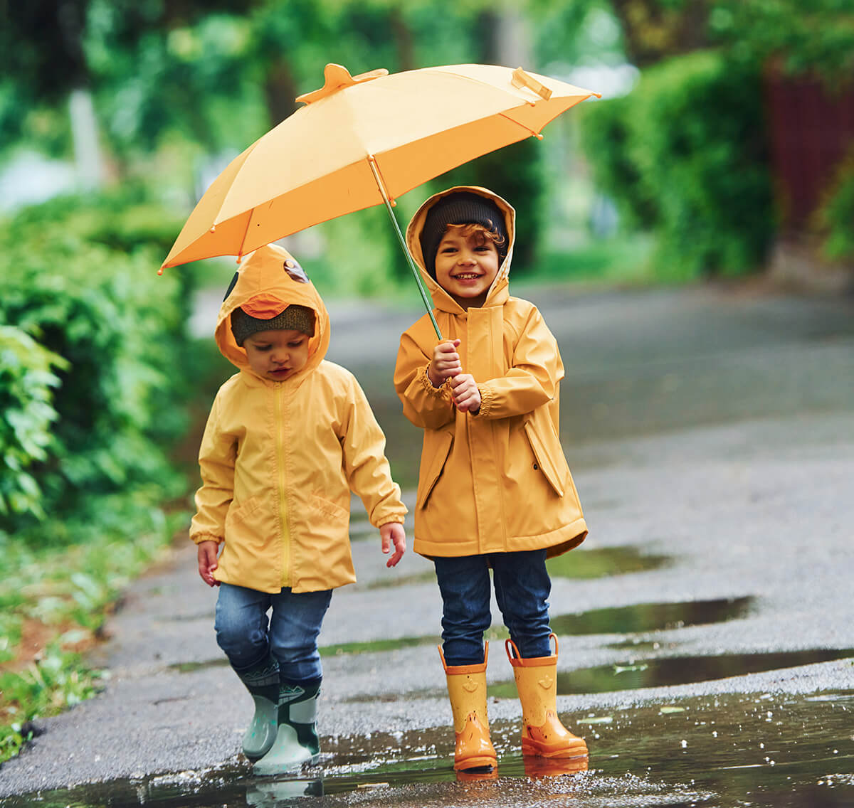 Two young children in yellow raincoats and boots walk along a wet path under a bright yellow umbrella, smiling and splashing near puddles with green trees in the background.
