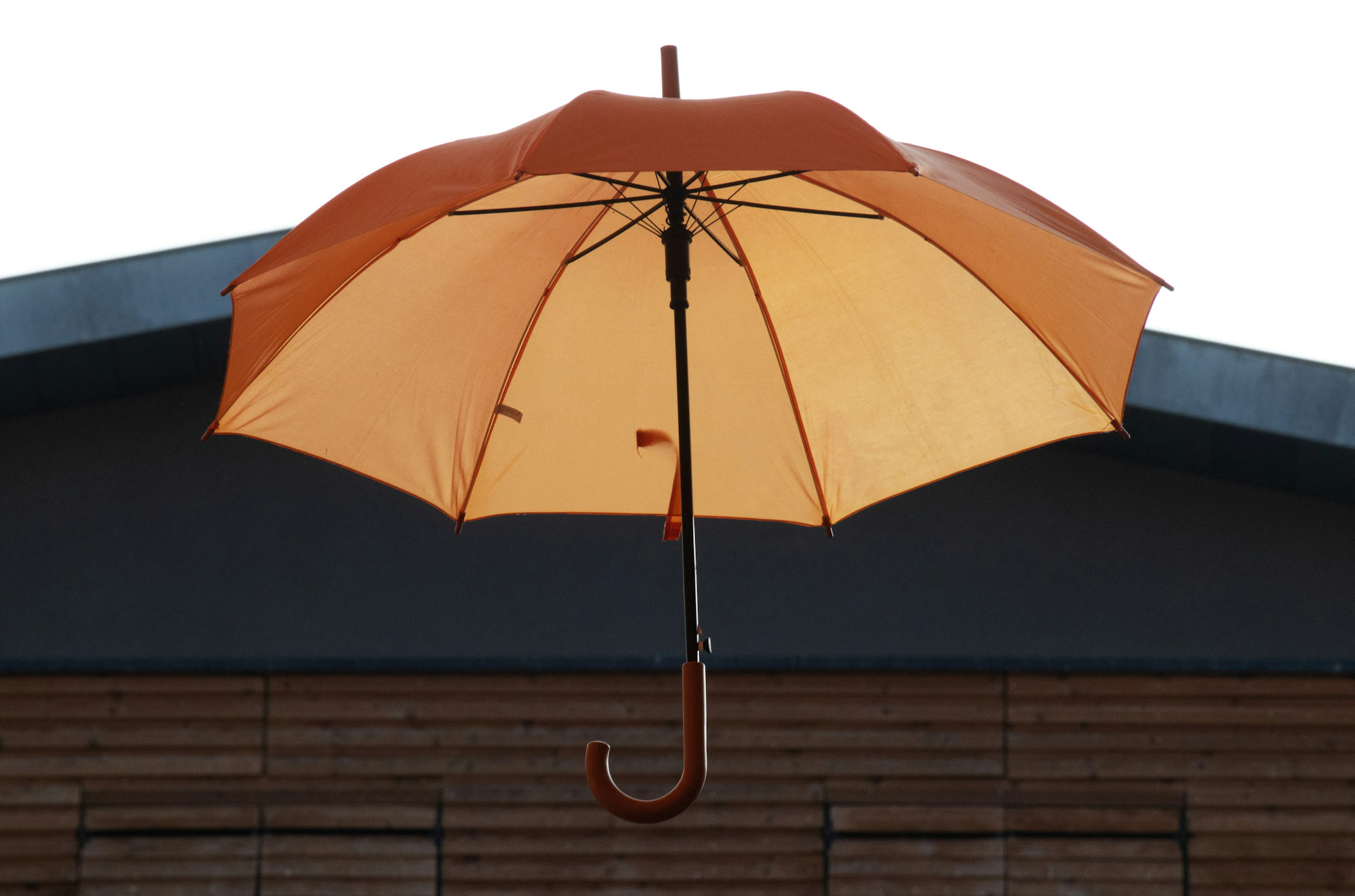 Umbrella