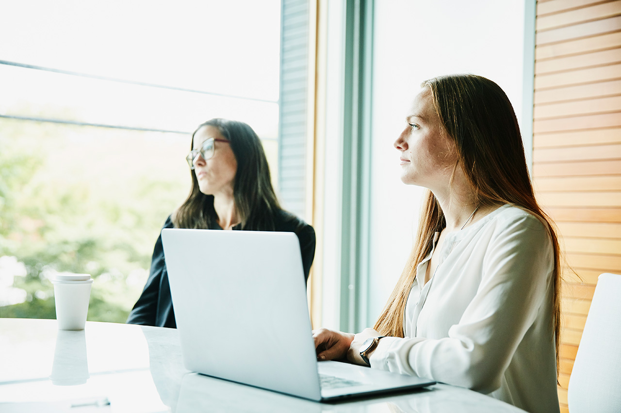 Two people in a meeting with a laptop