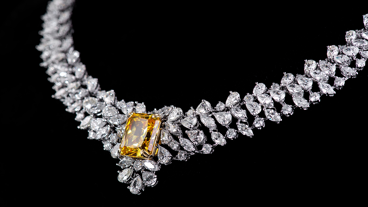 jewelry necklace